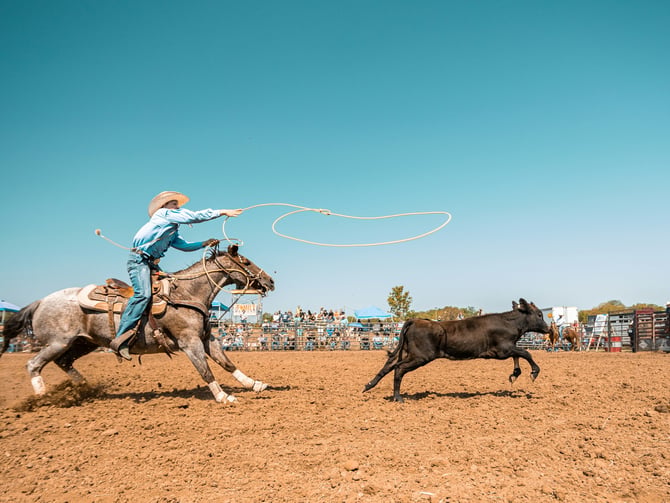 Tucson Rodeo
